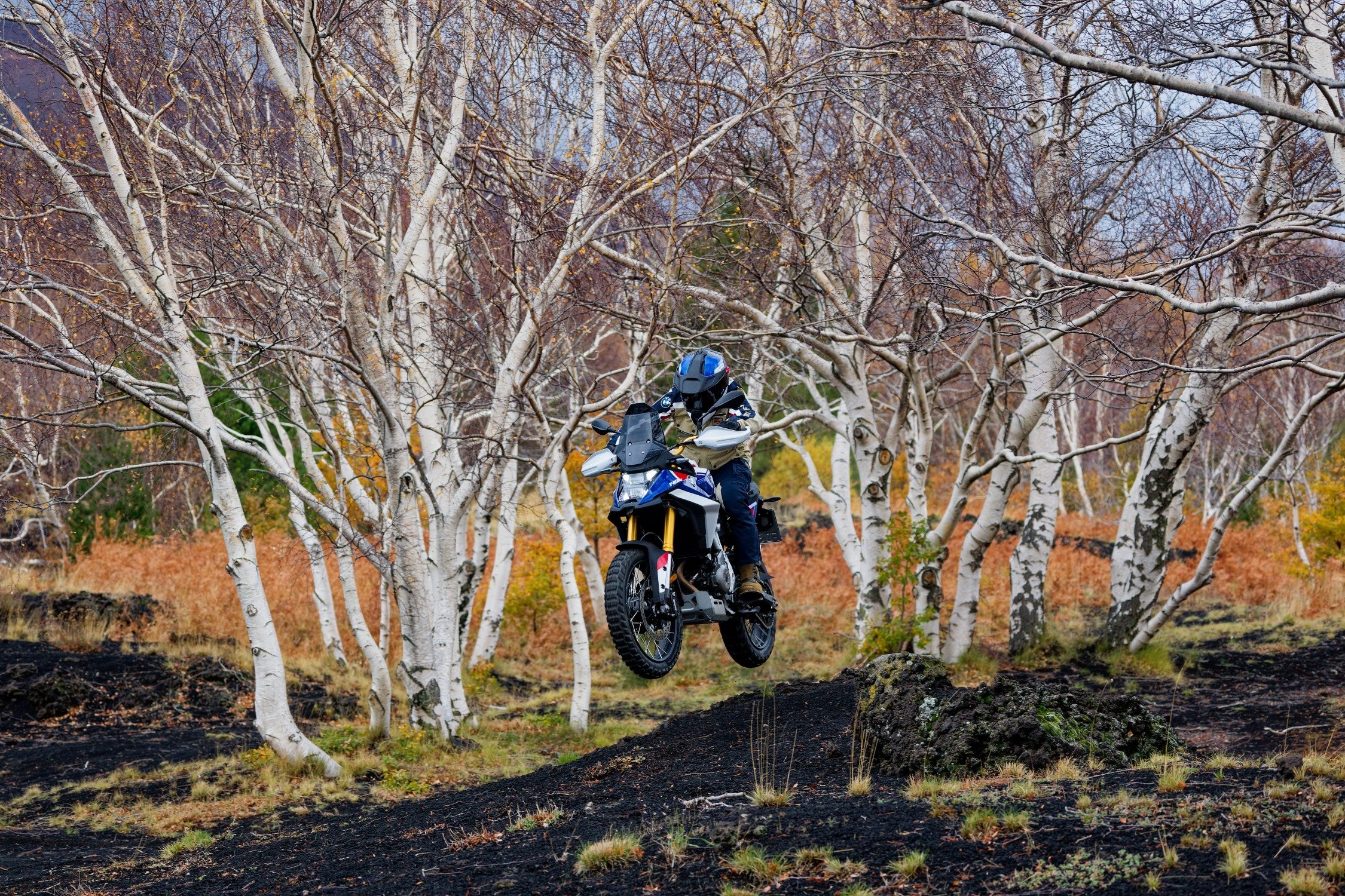 BMW F 450 GS (2026) - Image 8
