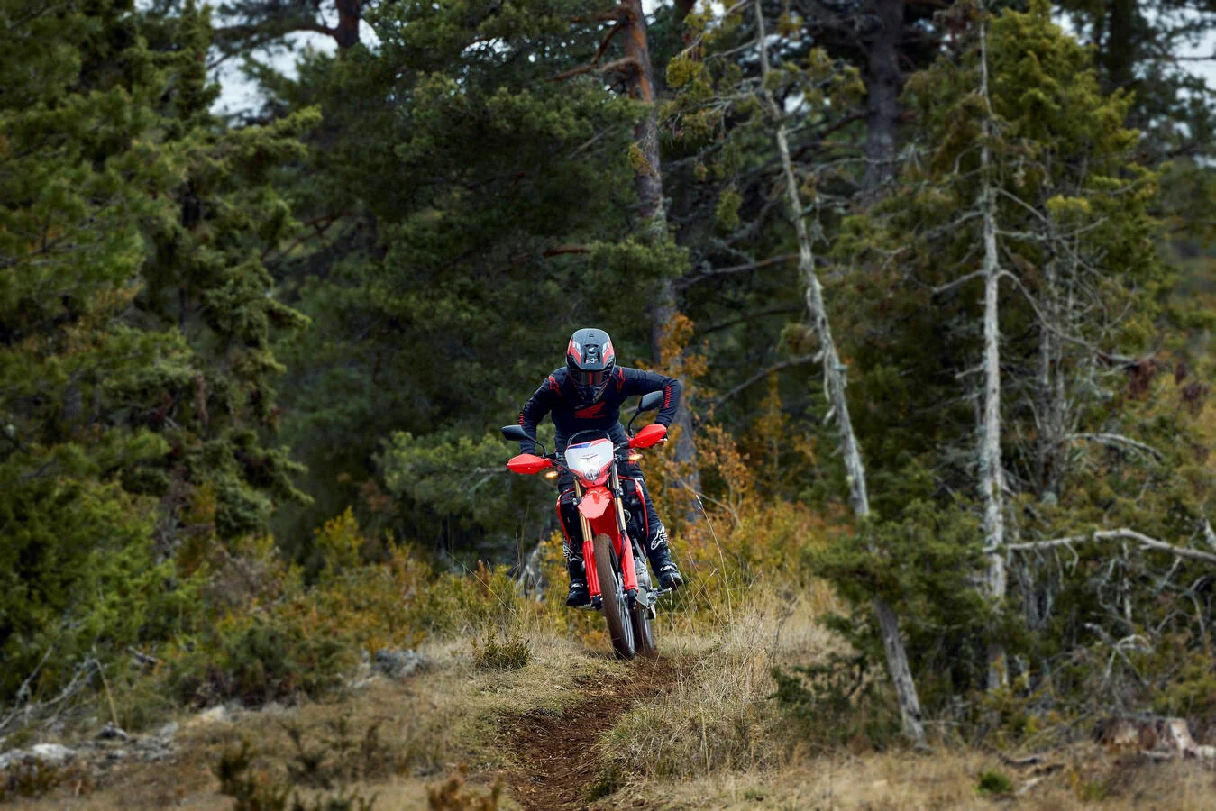 Honda CRF300L (2026) - Image 10