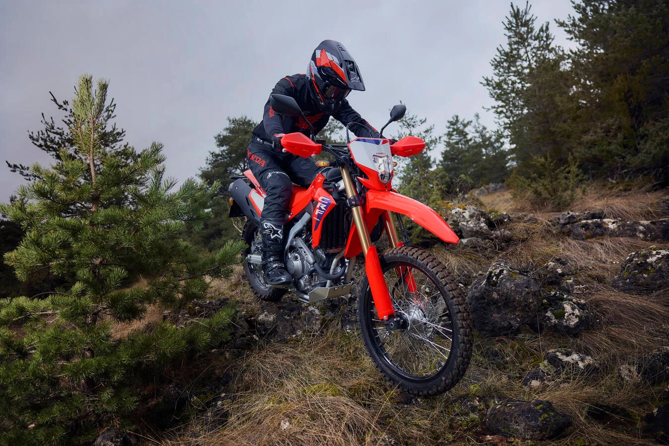 Honda CRF300L (2026) - Image 4