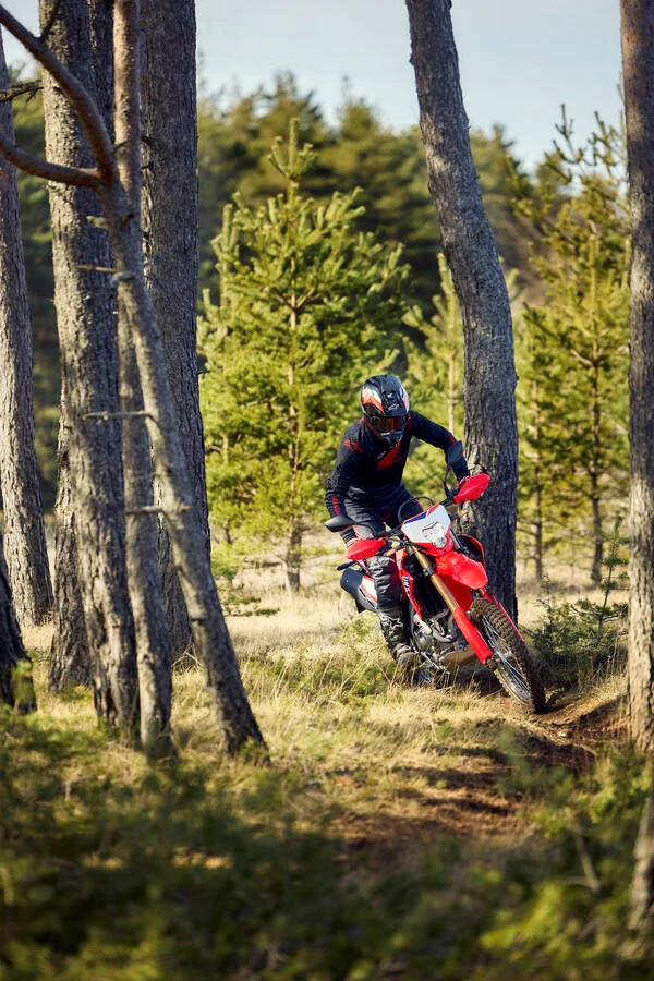 Honda CRF300L (2026) - Image 5