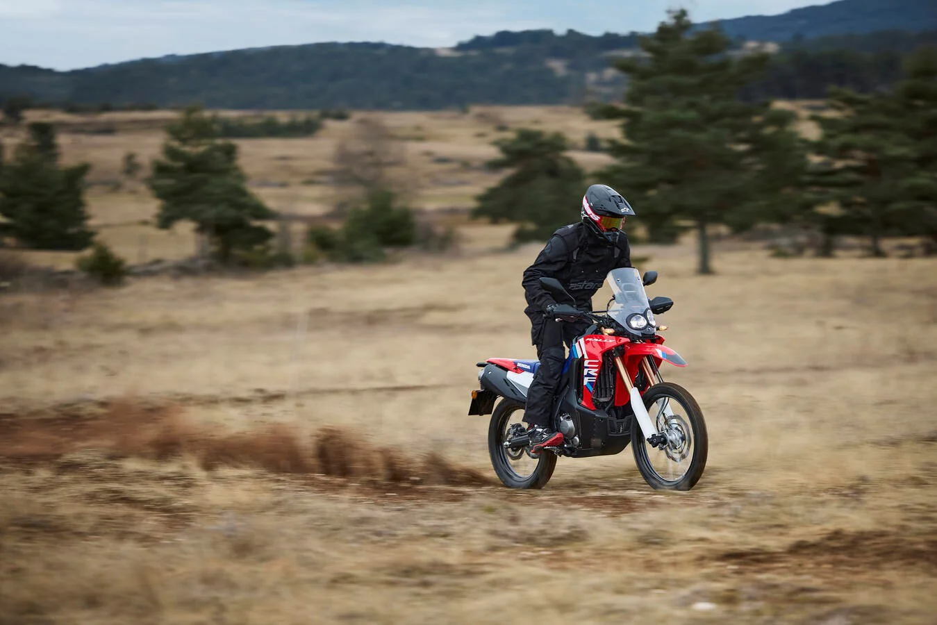 Honda CRF300L Rally (2026) - Image 11
