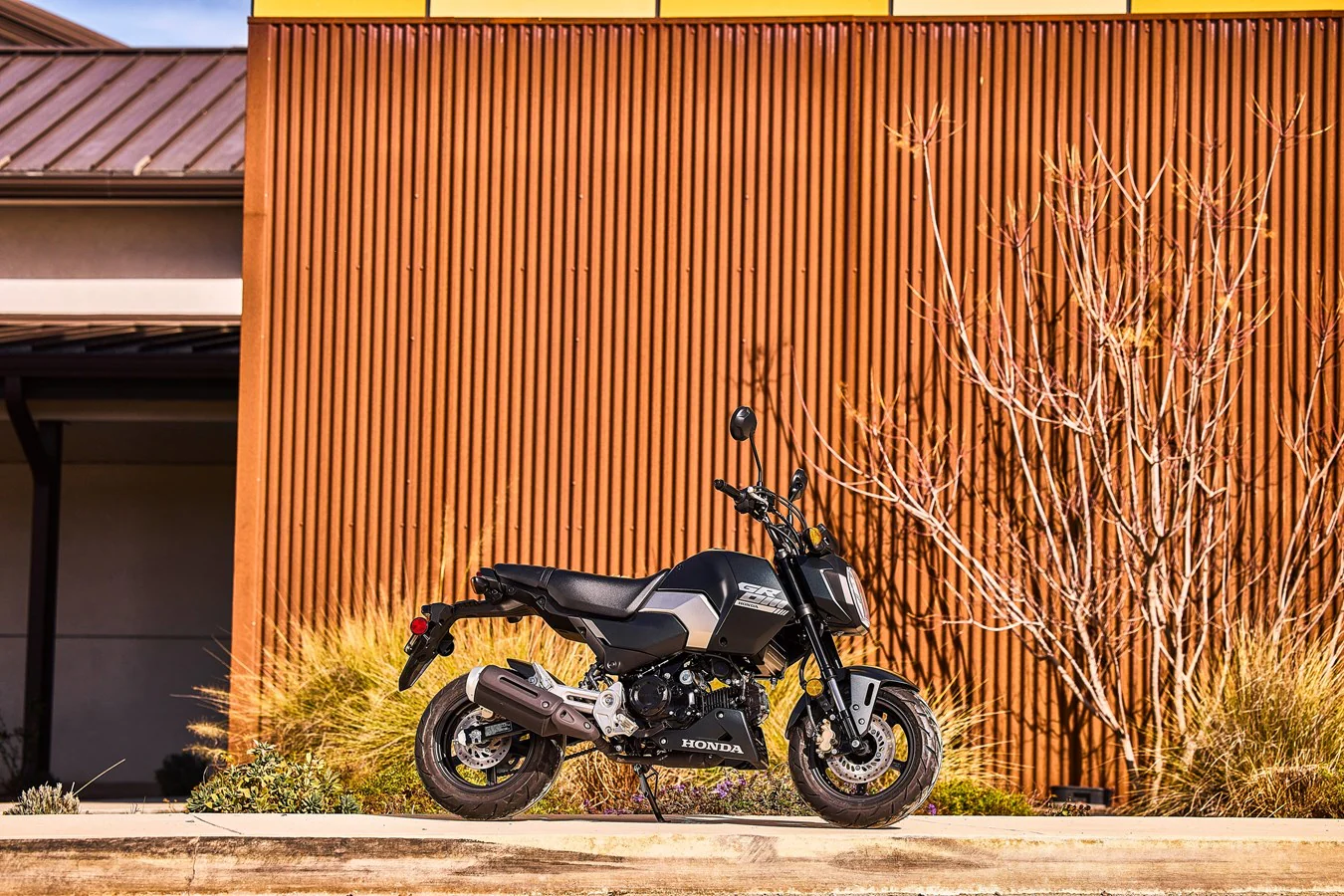 Honda MSX125 (2025) - Image 7