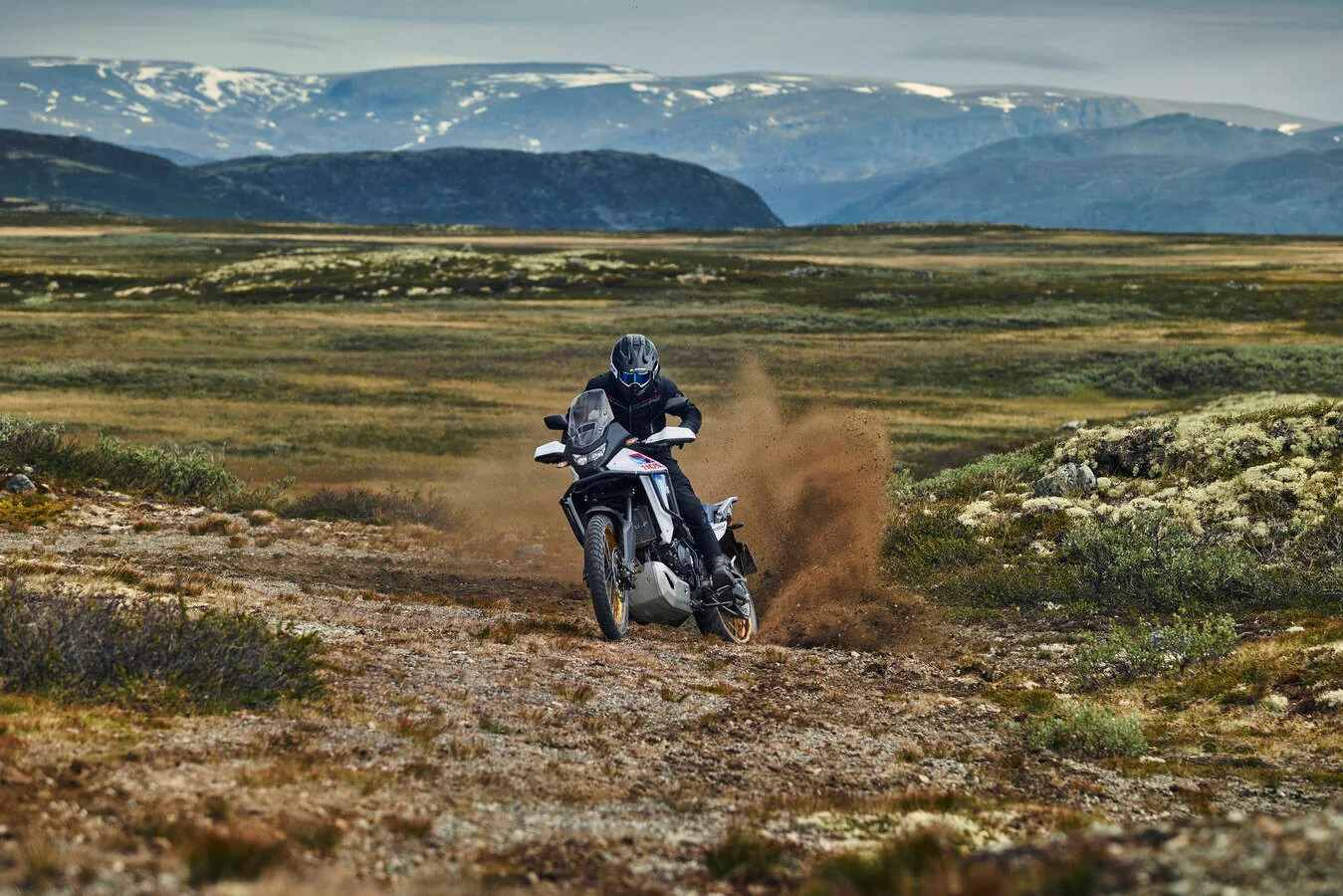 Honda XL750 Transalp (2026) - Image 5