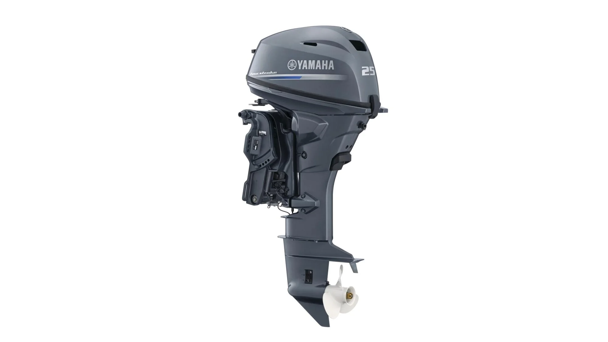 Miniatyr 1