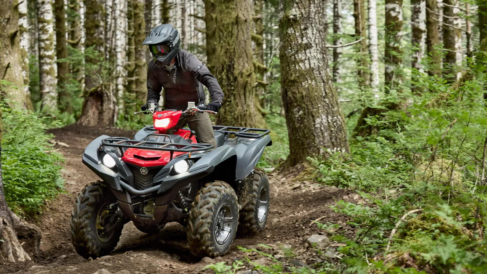 Yamaha Grizzly 700 EPS (2025) - Image 3