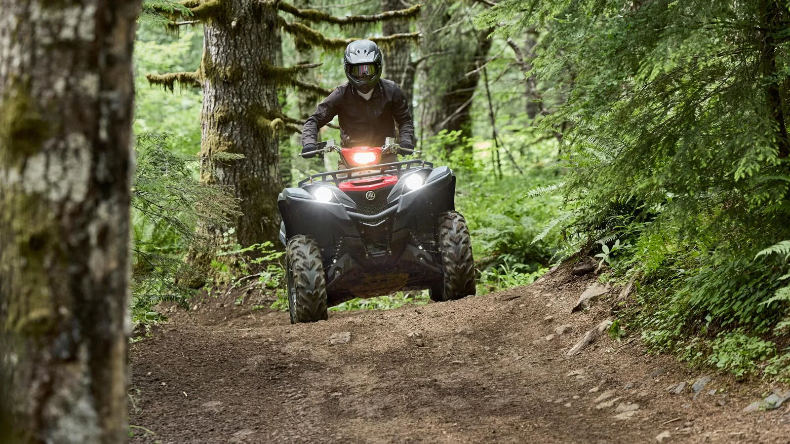 Yamaha Grizzly 700 EPS (2025) - Image 4