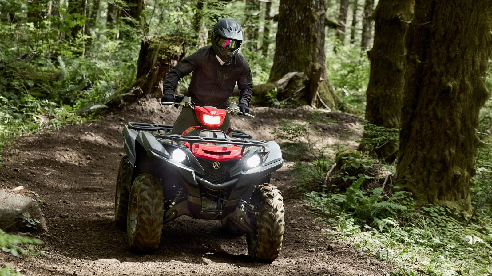 Yamaha Grizzly 700 EPS (2025) - Image 6