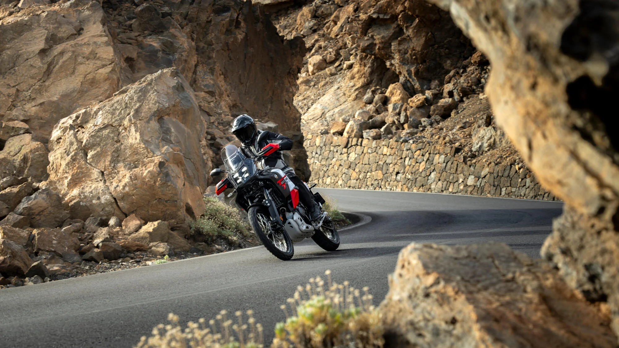 Yamaha Tenere 700 World Raid (2026) - Image 12