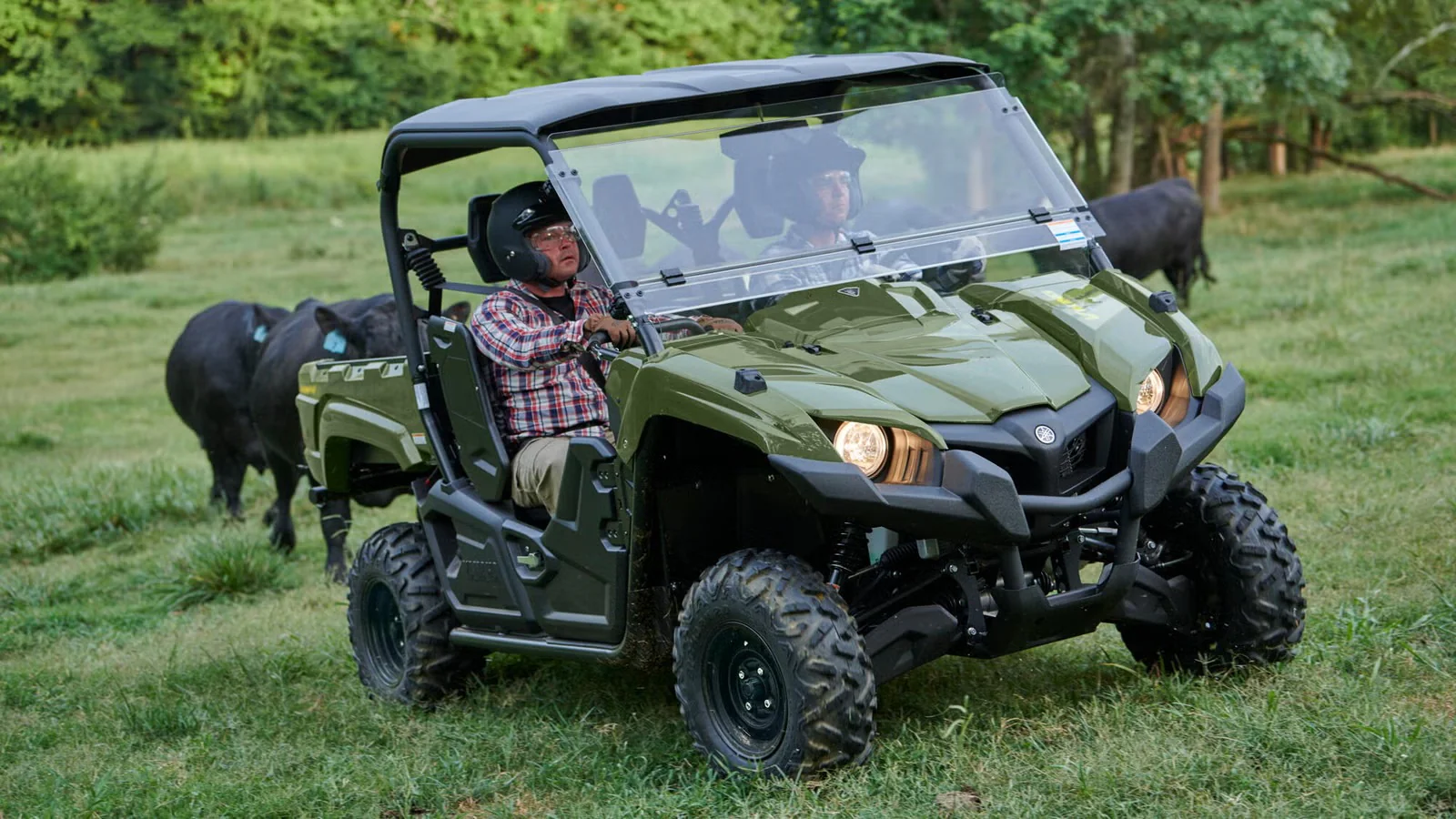 Yamaha Viking EPS (2025) - Image 5