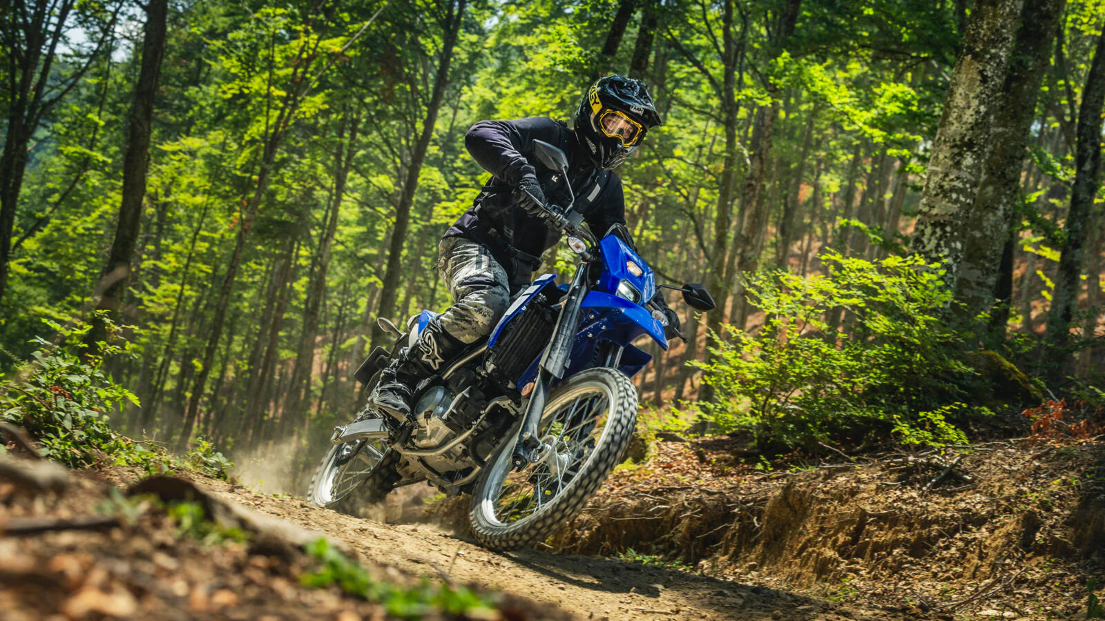 Yamaha  WR125R (2026) - Image 4